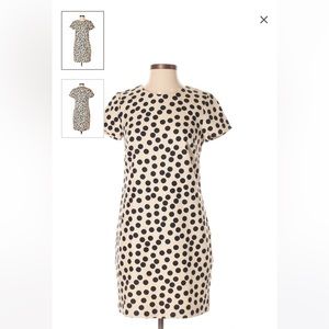 JCrew polka dot dress